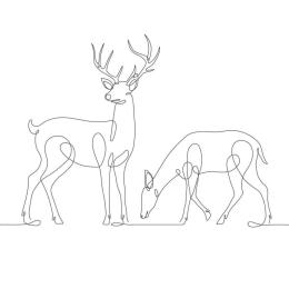 Lodewijk Ceulemans